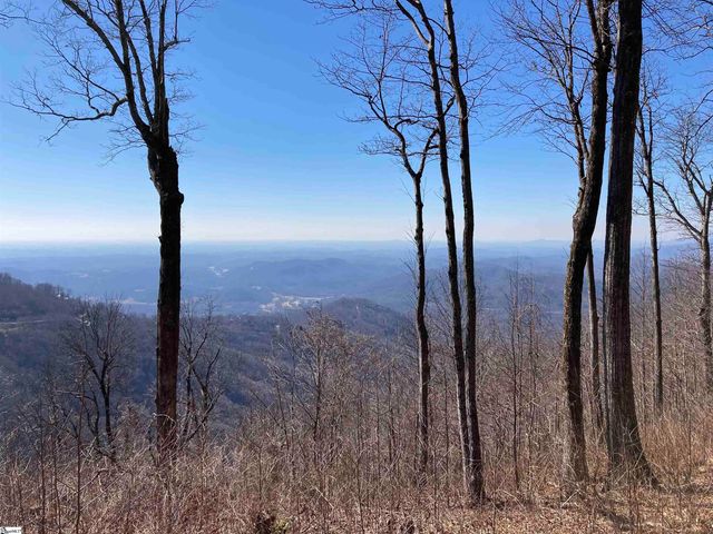 260 Bella Vista Court, Zirconia, NC 28790