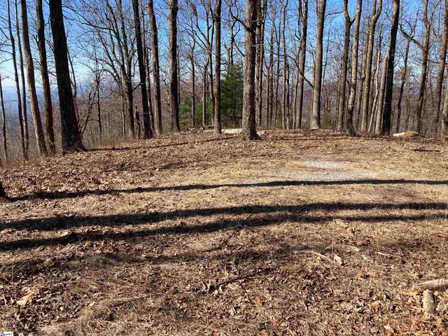 260 Bella Vista Court, Zirconia, NC 28790