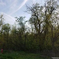 0000 S Lapeer Road, Lake Orion, MI 48362