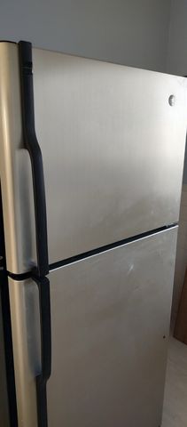 49 Burrell 3, Boston, MA 02119