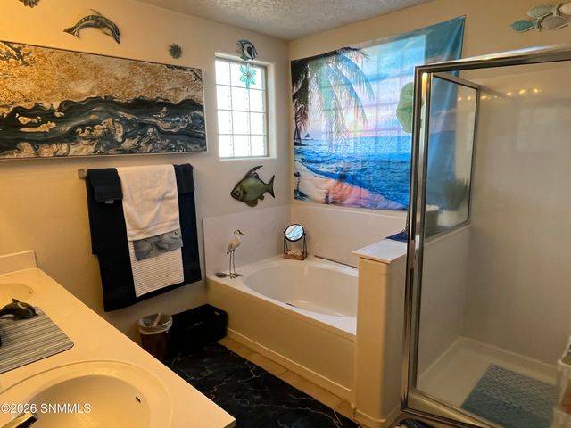 2519 Silver Hawk Avenue, Las Cruces, NM 88011