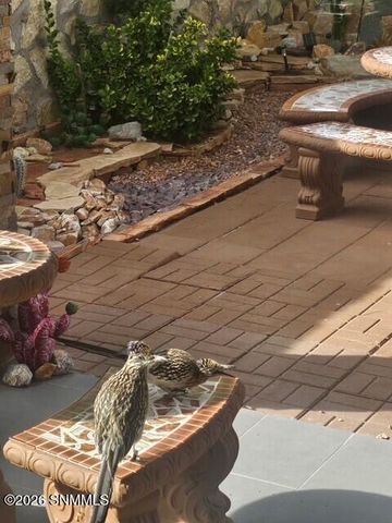 2519 Silver Hawk Avenue, Las Cruces, NM 88011