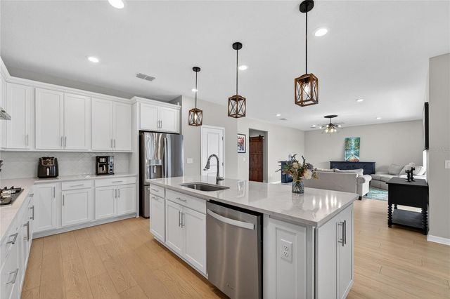 3899 IVY SPRINGS LANE, Land O Lakes, FL 34638