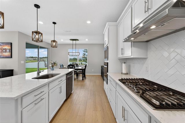 3899 IVY SPRINGS LANE, Land O Lakes, FL 34638