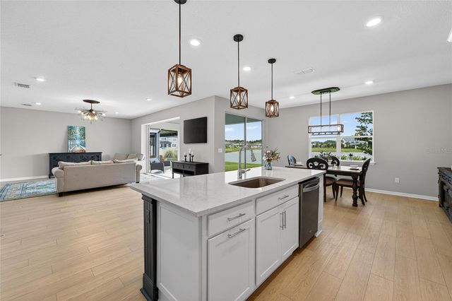 3899 IVY SPRINGS LANE, Land O Lakes, FL 34638