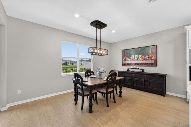3899 IVY SPRINGS LANE, Land O Lakes, FL 34638