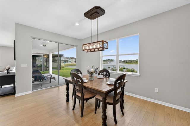3899 IVY SPRINGS LANE, Land O Lakes, FL 34638