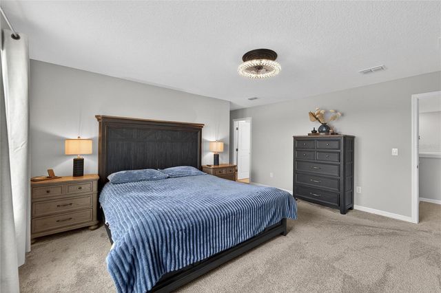 3899 IVY SPRINGS LANE, Land O Lakes, FL 34638
