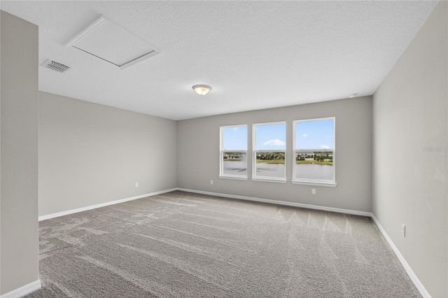3899 IVY SPRINGS LANE, Land O Lakes, FL 34638