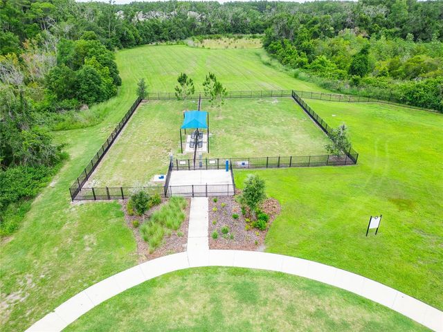 3899 IVY SPRINGS LANE, Land O Lakes, FL 34638