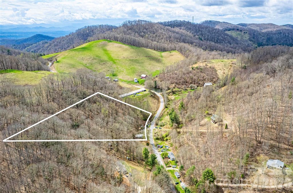2828 Chandler Creek Road, Mars Hill, NC 28754