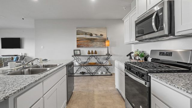1132 BELHAVEN Lane, Granbury, TX 76048