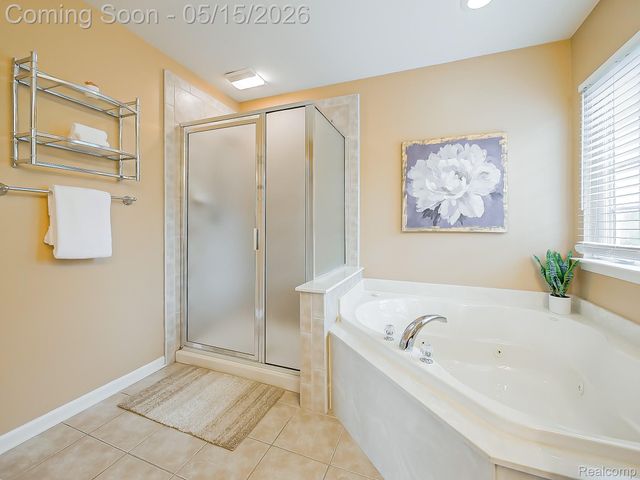 49133 Running Trout Lane, Northville Township, MI 48168