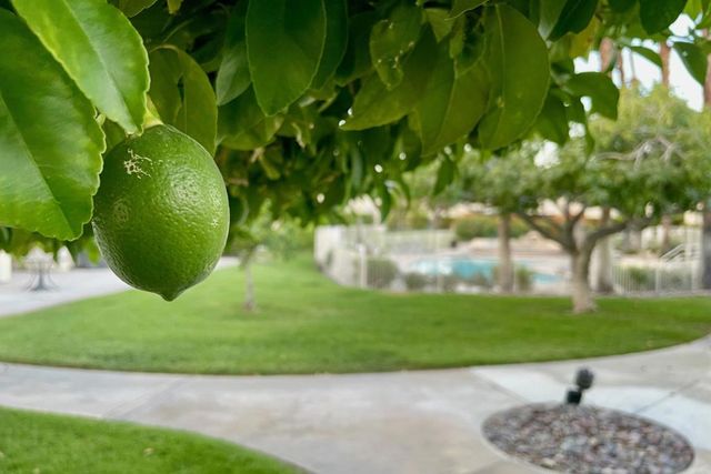 6250 N Paseo De La Palma, Palm Springs, CA 92264