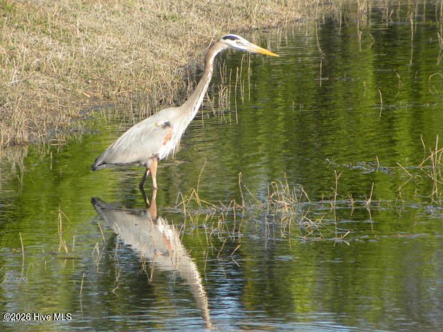 6568 Towles Road, Wilmington, NC 28409