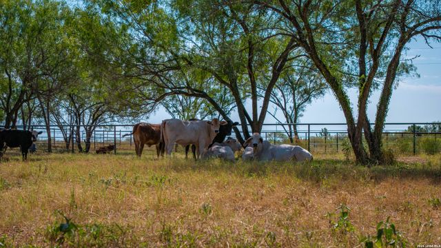 5002 fm 476, Poteet, TX 78065