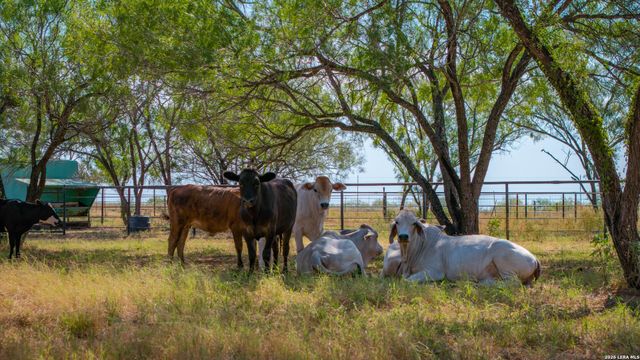 5002 fm 476, Poteet, TX 78065