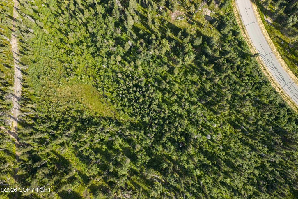 L5 Mountain Air Drive, Anchorage, AK 99516