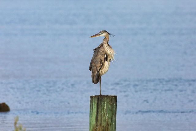 566 Private Road 674, Sargent, TX 77414