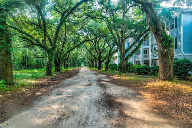 60 Fenwick Hall Alley, Johns Island, SC 29455