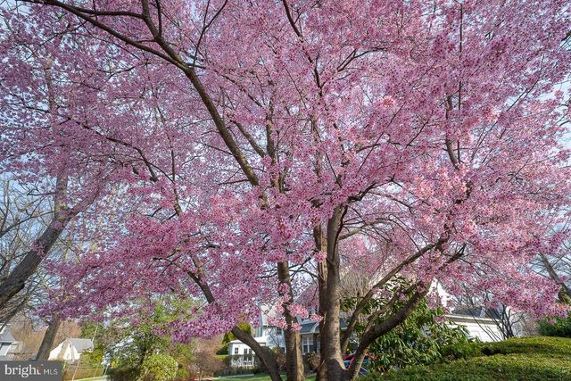 256 HATHAWAY LN, Wynnewood, PA 19096