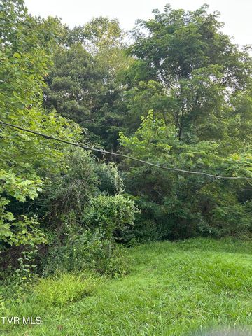 2703 Orr Street, Big Stone Gap, VA 24219