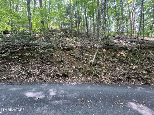 334 Ridgefield Drive, Sevierville, TN 37876