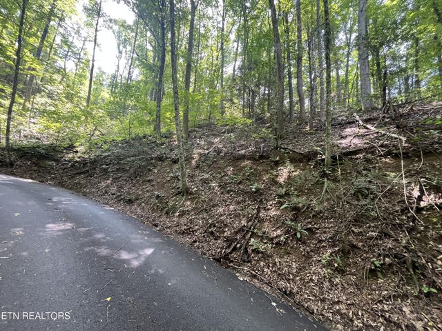 334 Ridgefield Drive, Sevierville, TN 37876