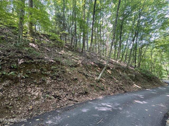 334 Ridgefield Drive, Sevierville, TN 37876