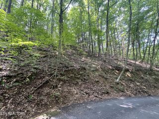 334 Ridgefield Drive, Sevierville, TN 37876