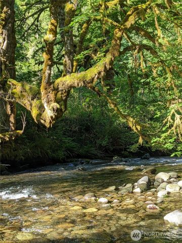 301 Mount Pleasant Estates Road, Port Angeles, WA 98362