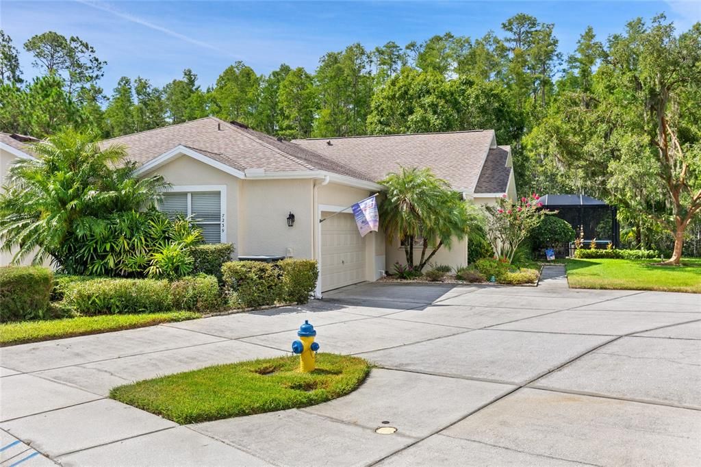 7239 CLEOPATRA DRIVE, Land O Lakes, FL 34637
