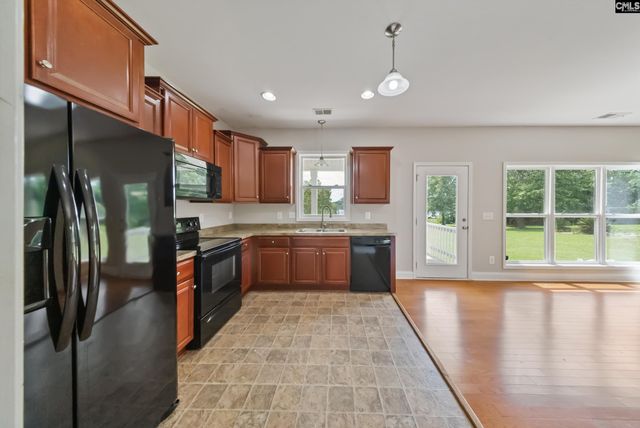 217 Lakewood Drive, Chapin, SC 29036