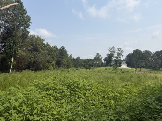 0 AEDC Lakeview Rd, Estill Springs, TN 37330