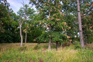 Lt20 SPRINGFIELD ROAD, Lake Geneva, WI 53147