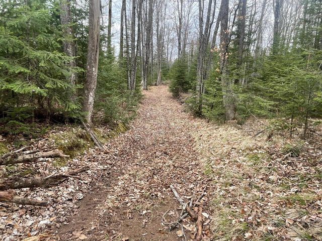 N13038 HICKS LANDING ROAD, Fifield, WI 54524