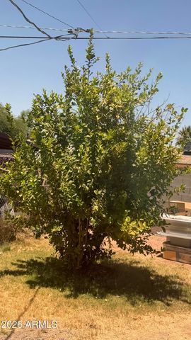 104 W PUEBLO Avenue, Phoenix, AZ 85041