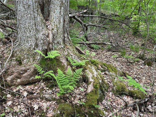 Woodland Hills Road, Andes, NY 13731