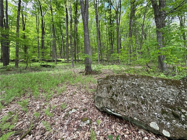 Woodland Hills Road, Andes, NY 13731