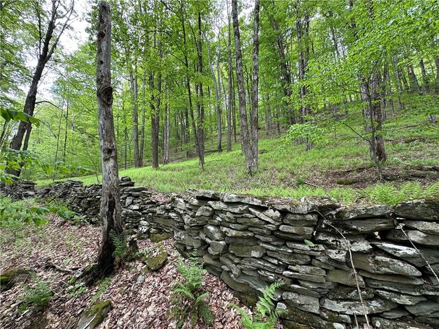 Woodland Hills Road, Andes, NY 13731