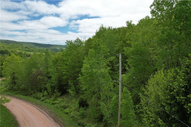 Woodland Hills Road, Andes, NY 13731