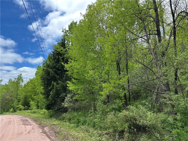 Woodland Hills Road, Andes, NY 13731