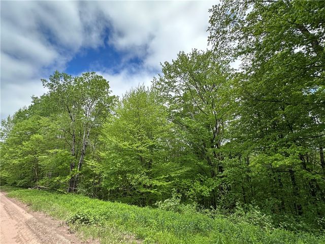 Woodland Hills Road, Andes, NY 13731