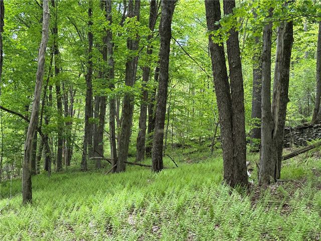Woodland Hills Road, Andes, NY 13731