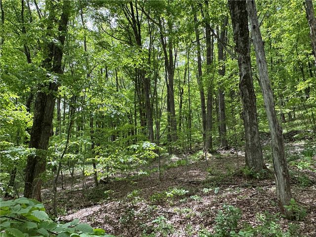 Woodland Hills Road, Andes, NY 13731