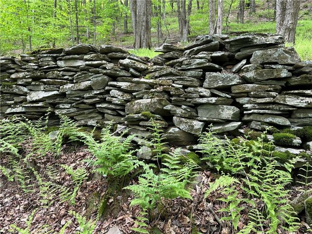 Woodland Hills Road, Andes, NY 13731