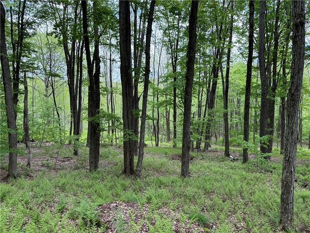 Woodland Hills Road, Andes, NY 13731