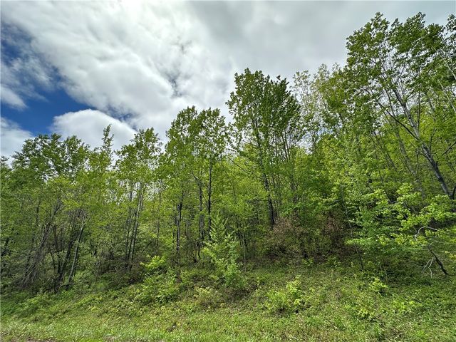 Woodland Hills Road, Andes, NY 13731