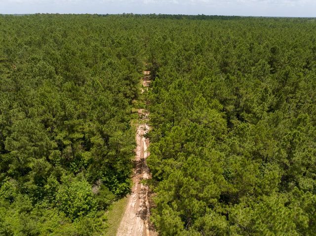 8 Benny Griffin Road, Dallardsville, TX 77351