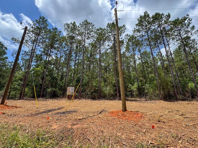 8 Benny Griffin Road, Dallardsville, TX 77351